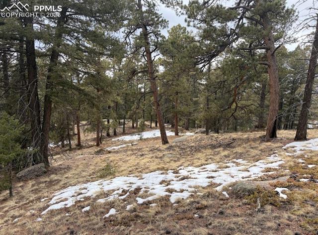84 Point View Cir, Florissant, CO 80816