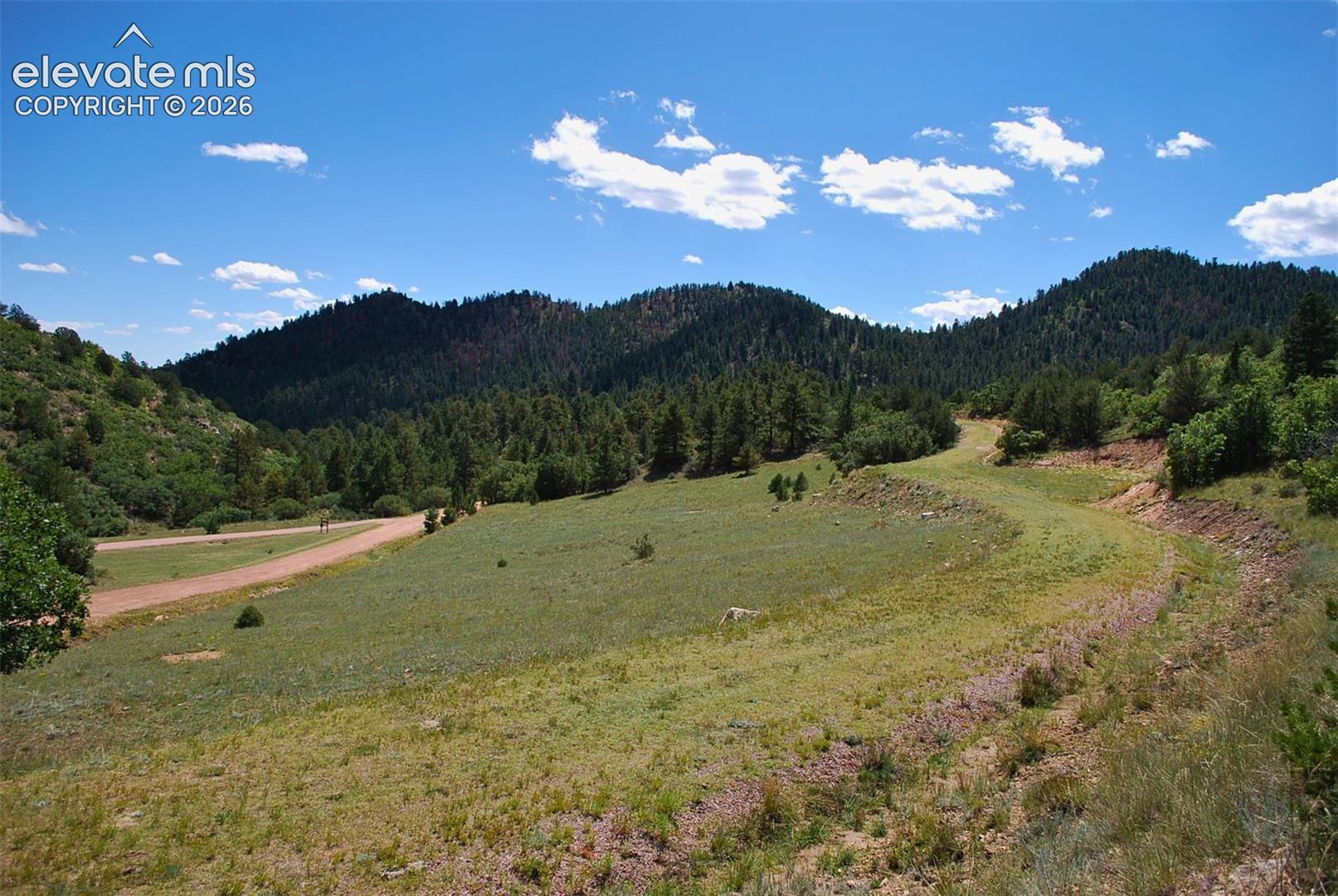Expansive green landscape with rolling hills, mature trees, and a visible dirt road