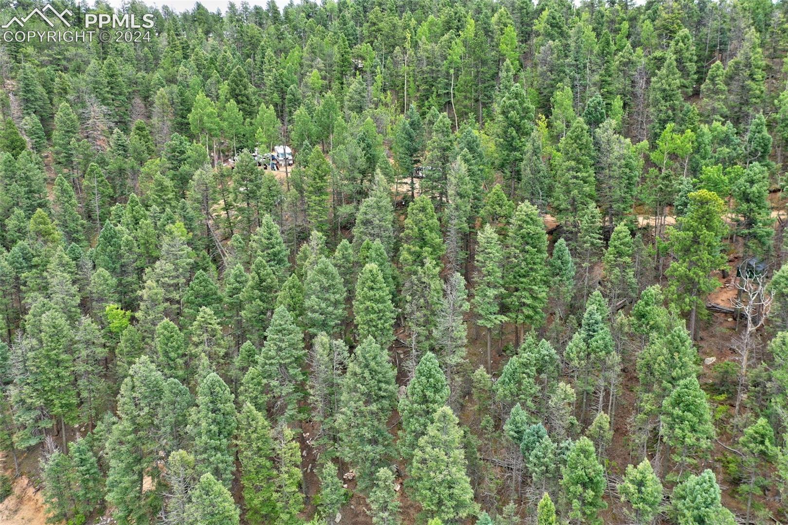 Photo 7 of 251 Osoeola Road, Woodland Park
