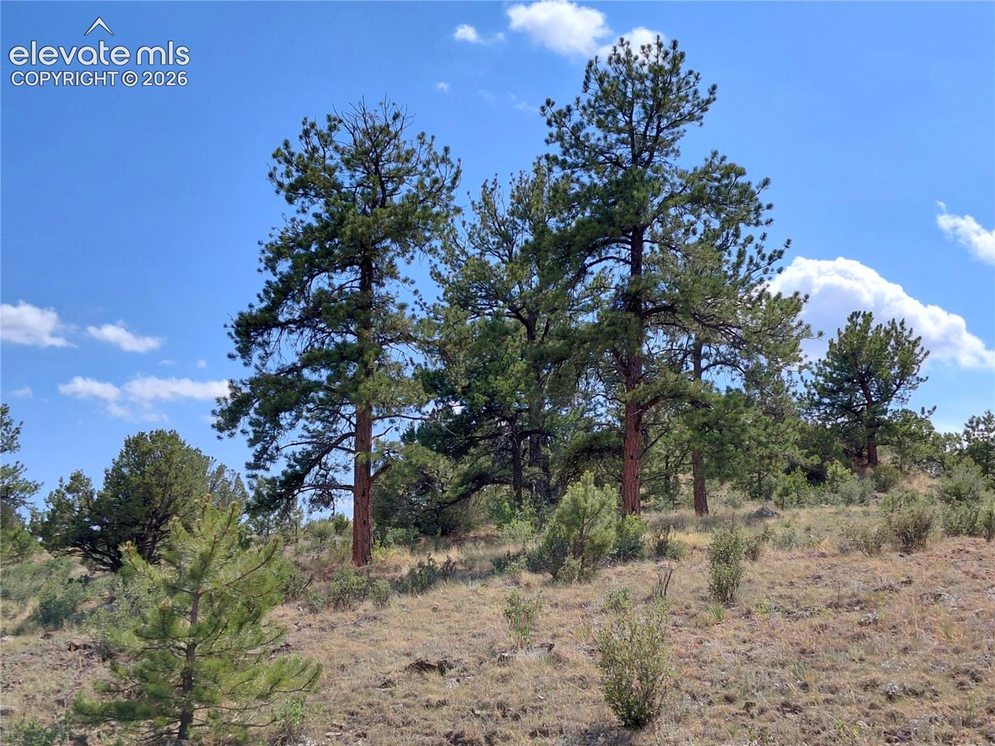 Photo 24 of Tract 70 Owls Nest Road, Guffey