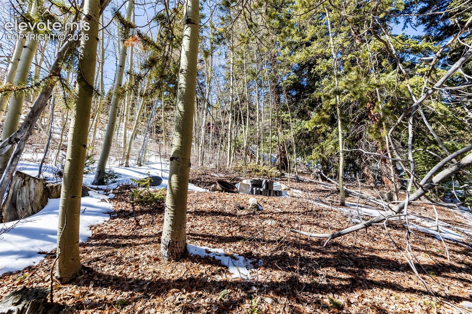 944 Roberts Rd, Alma, CO 80420