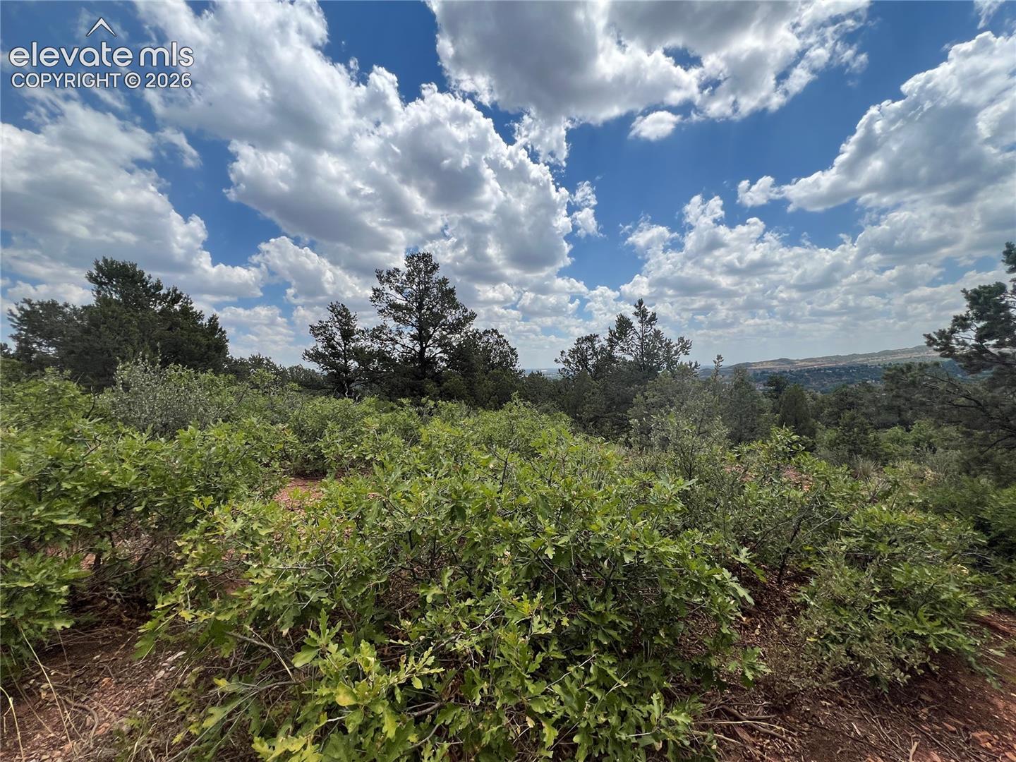 Photo 8 of Rampart Range Road, Colorado Springs