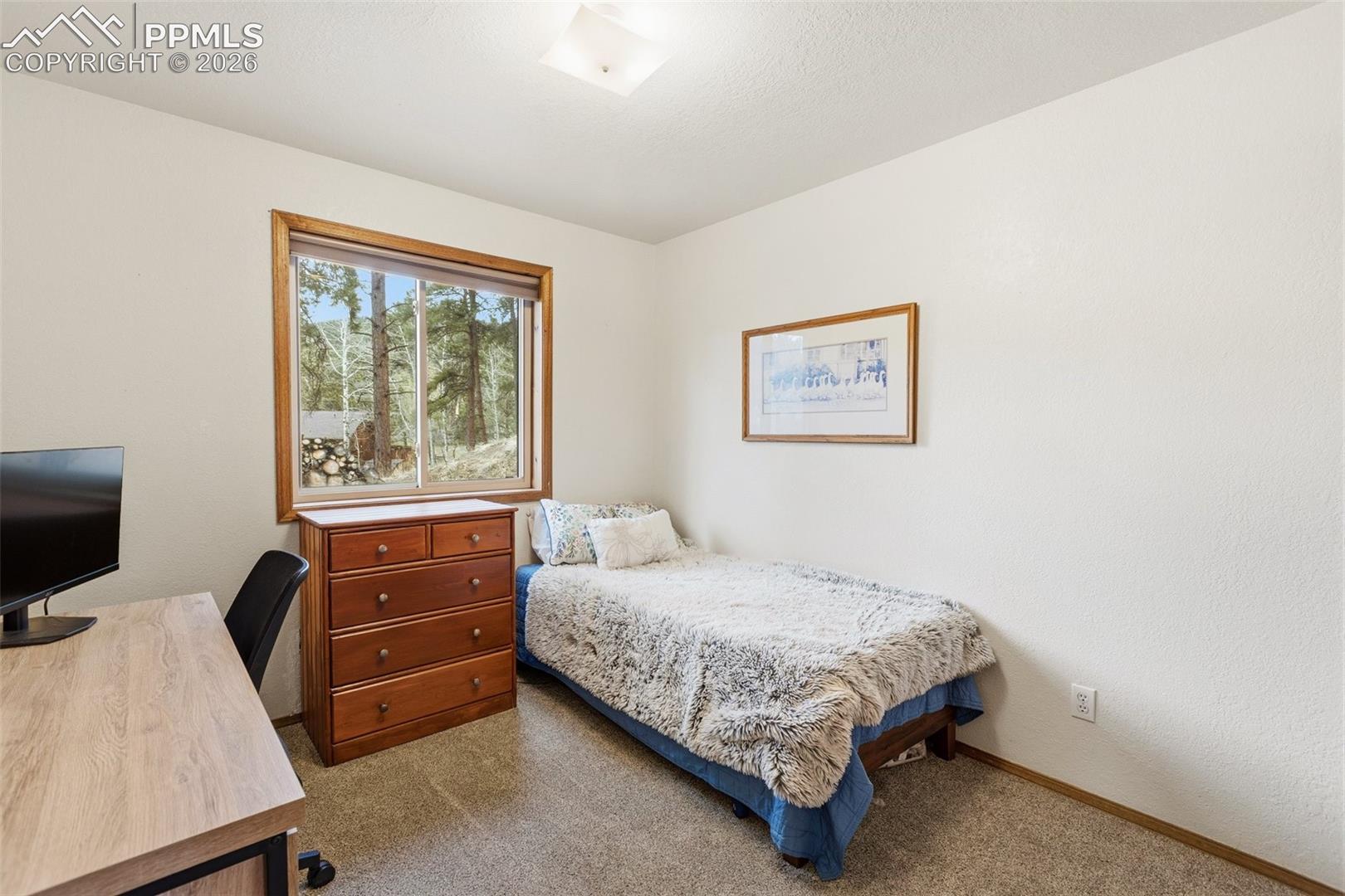 Photo 34 of 200 Sun Ridge Court, Woodland Park