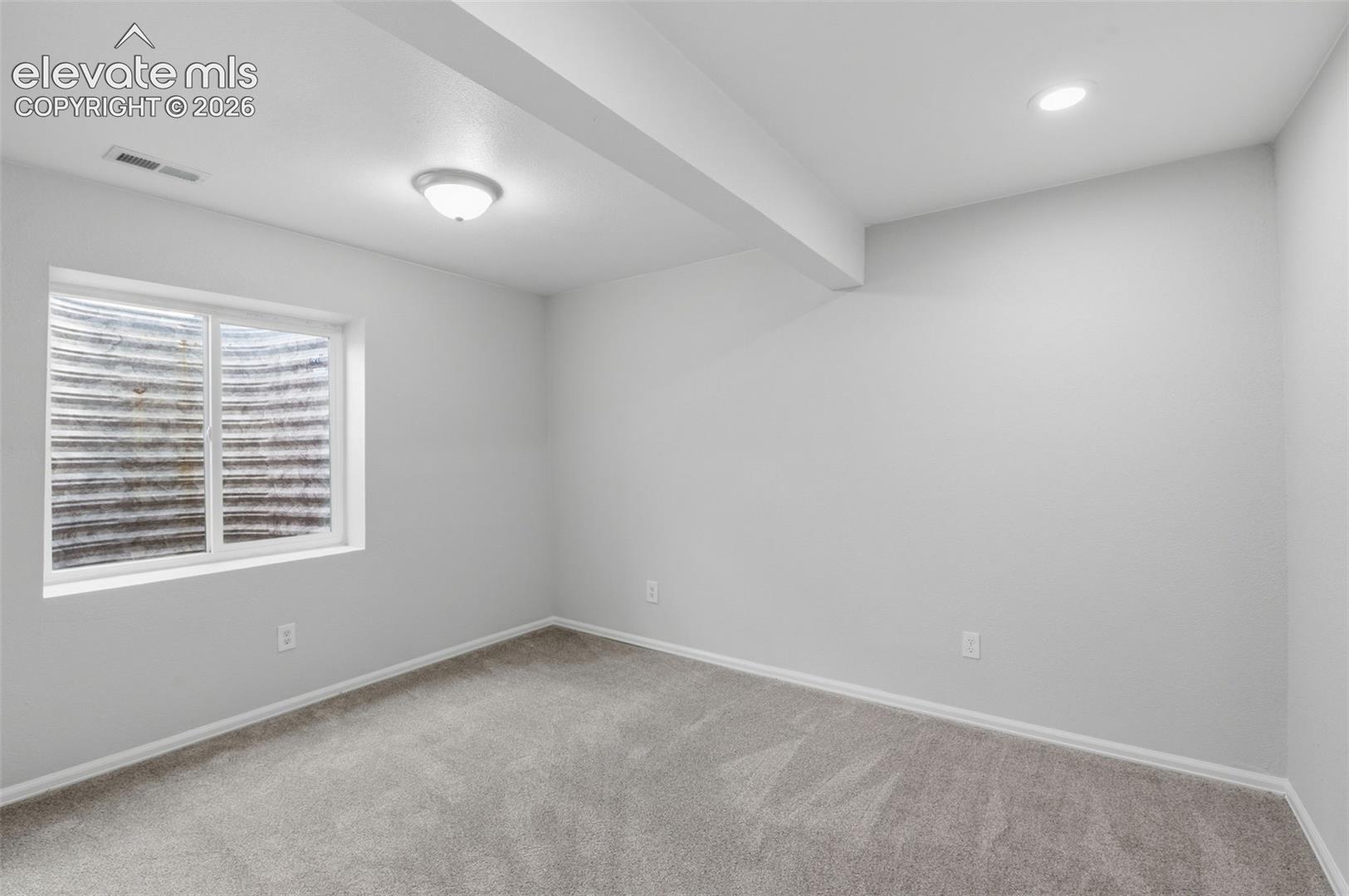 Bedroom #5- Basement