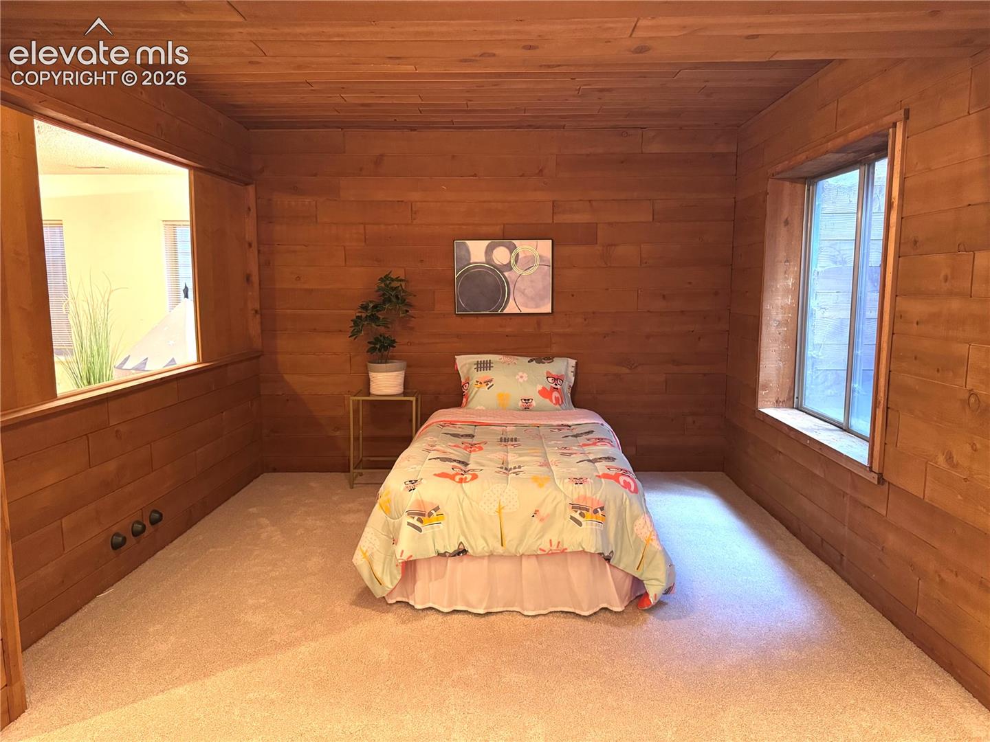 Basement bedroom #3 (non conforming)