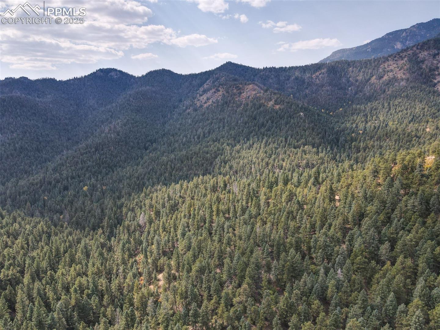 Photo 26 of 4950 Little Turkey Creek Road, Colorado Springs