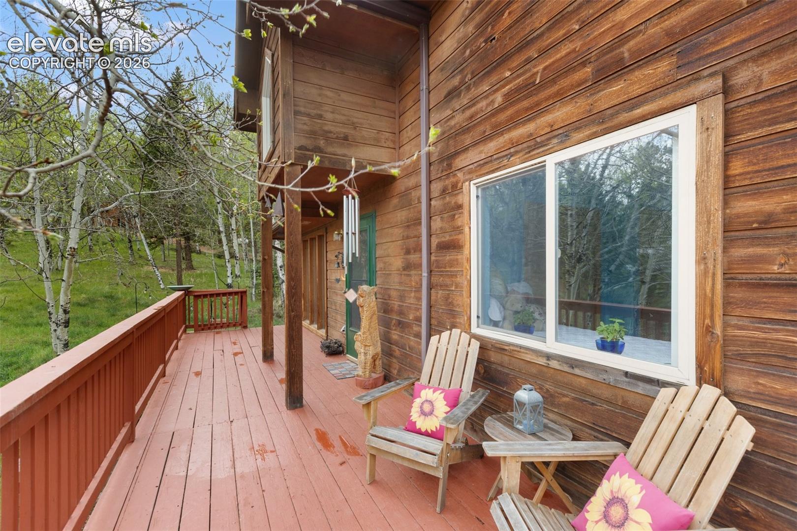 996 Spring Valley Dr, Divide, CO 80814