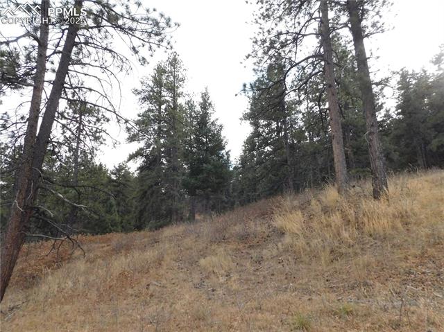 Photo 12 of 8055 Acoma Drive, Larkspur