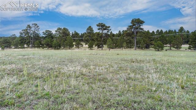 Photo 10 of 11809 Flap Jack Lane, Colorado Springs