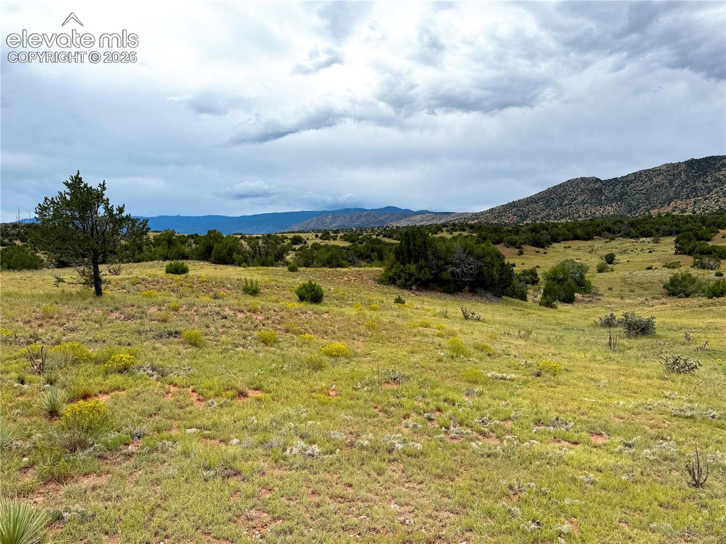 Expansive property featuring natural vegetation, gently rolling terrain, and distant mountainous backdrops