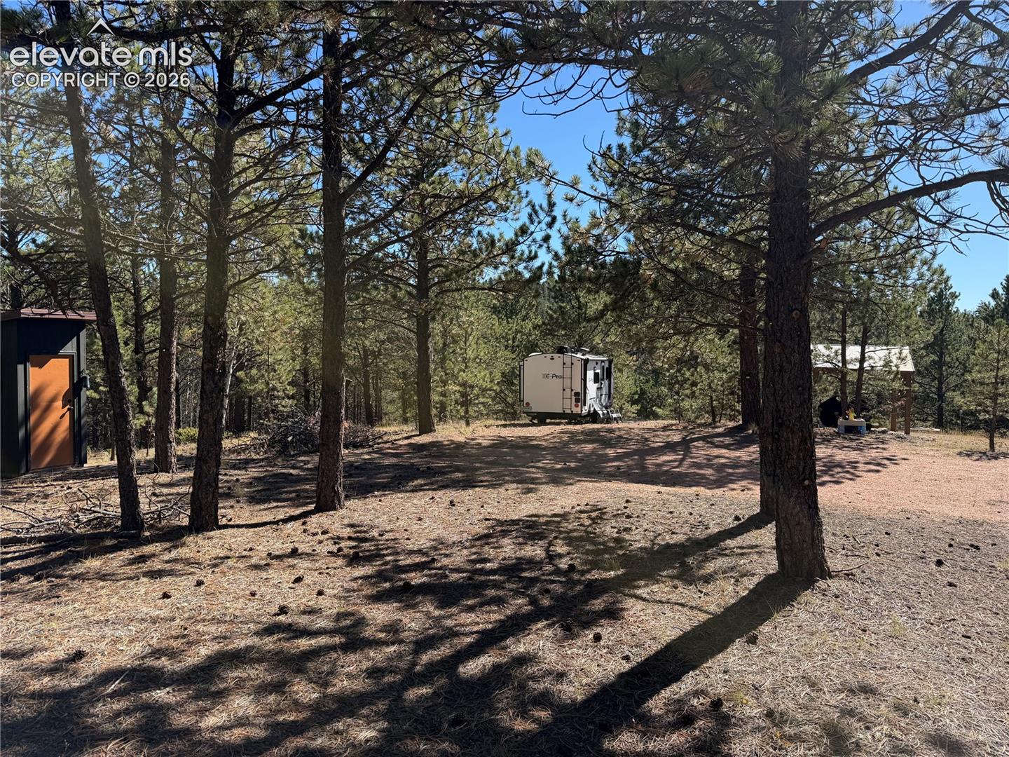 Wooded lot featuring mature pine trees, a cleared ground surface, and a covered pavilion structure