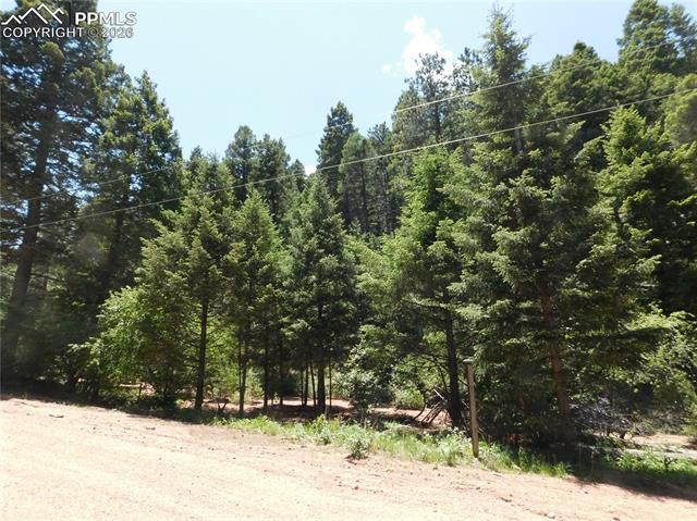 Photo 10 of 13175 Spruce Creek Circle, Larkspur