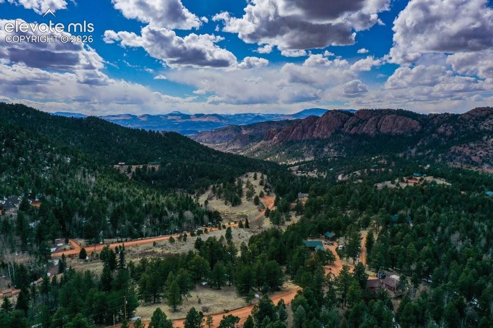 Mountain view with a view of trees