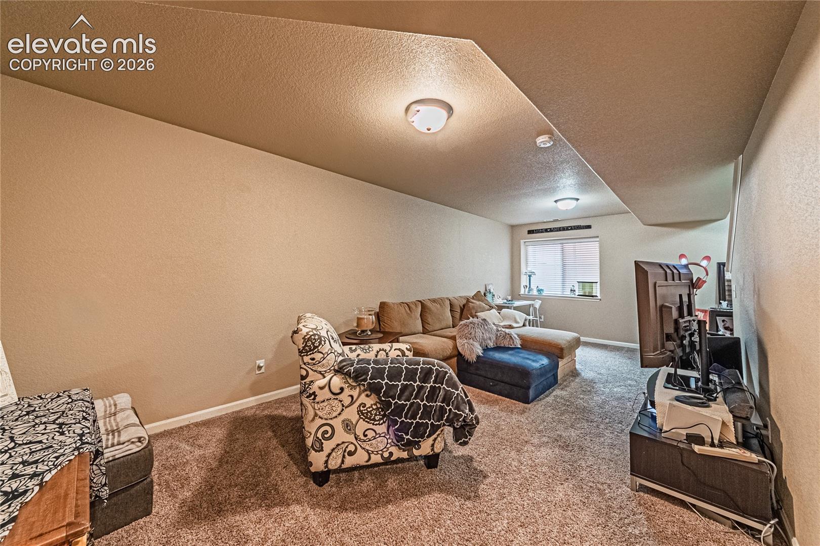 Carpeted living room with a textured wall and a textured ceiling