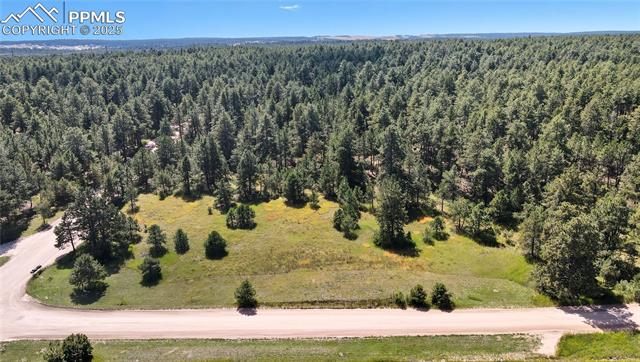 Photo 7 of 18380 Black Squirrel Road, Colorado Springs