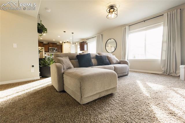 9901 Castor Dr, Colorado Springs, CO 80925