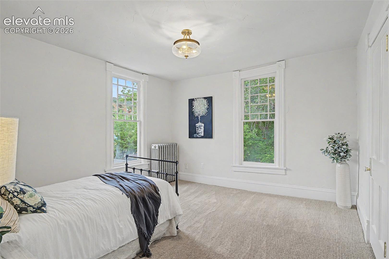 Carpeted interior space featuring two windows with white trim, a ceiling-mounted light fixture, and a built-in radiator