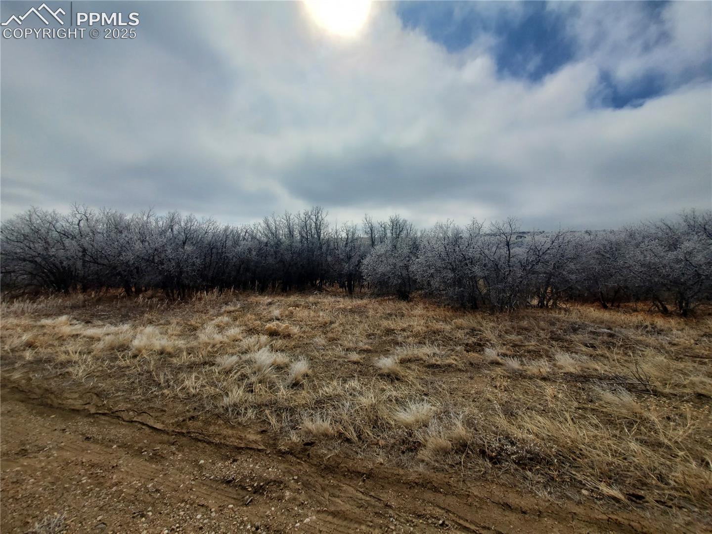 0 Thacker Rd, Colorado City, CO 81069