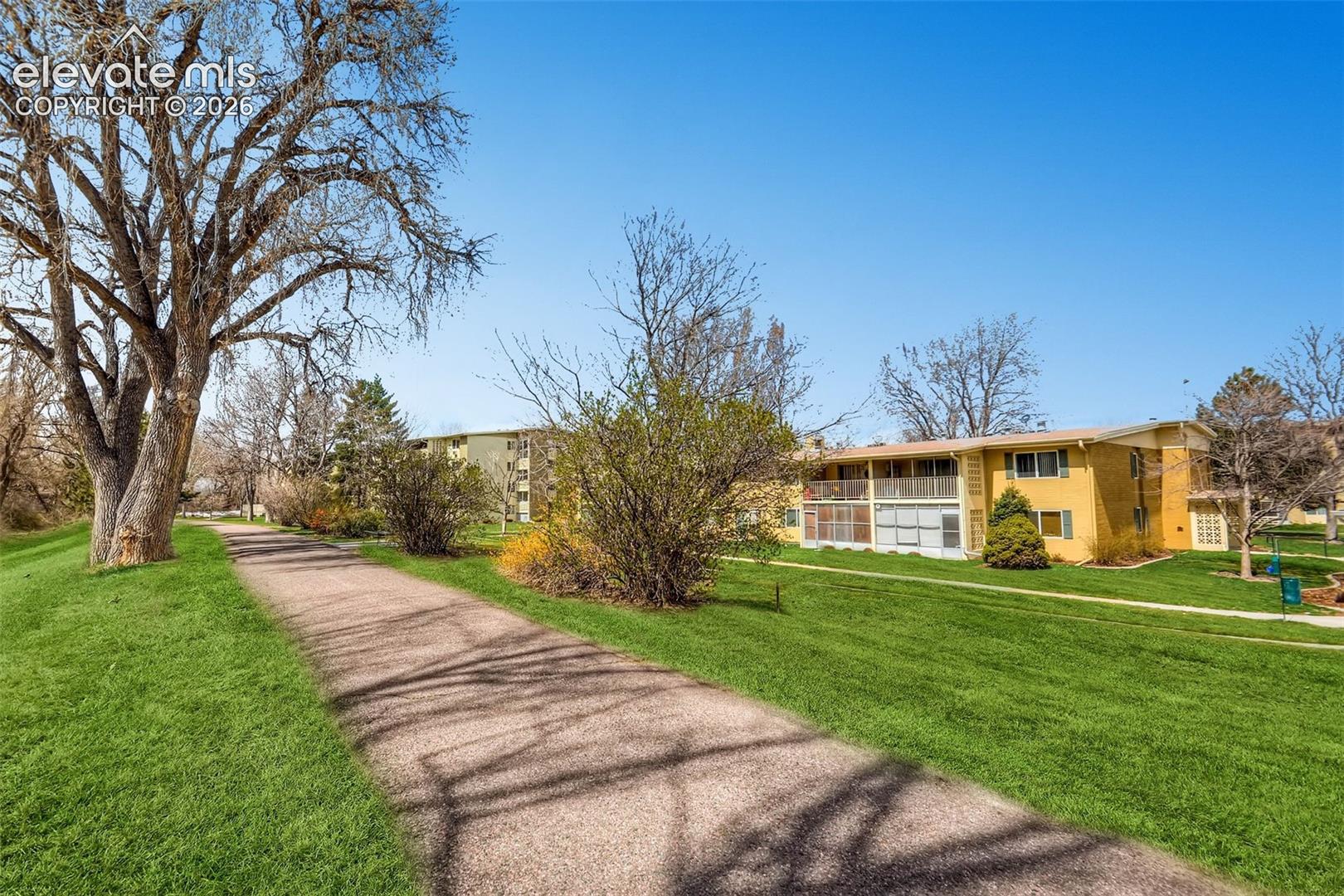 Welcoming tree-lined approach with mature specimen trees casting dappled shade across the manicured lawn