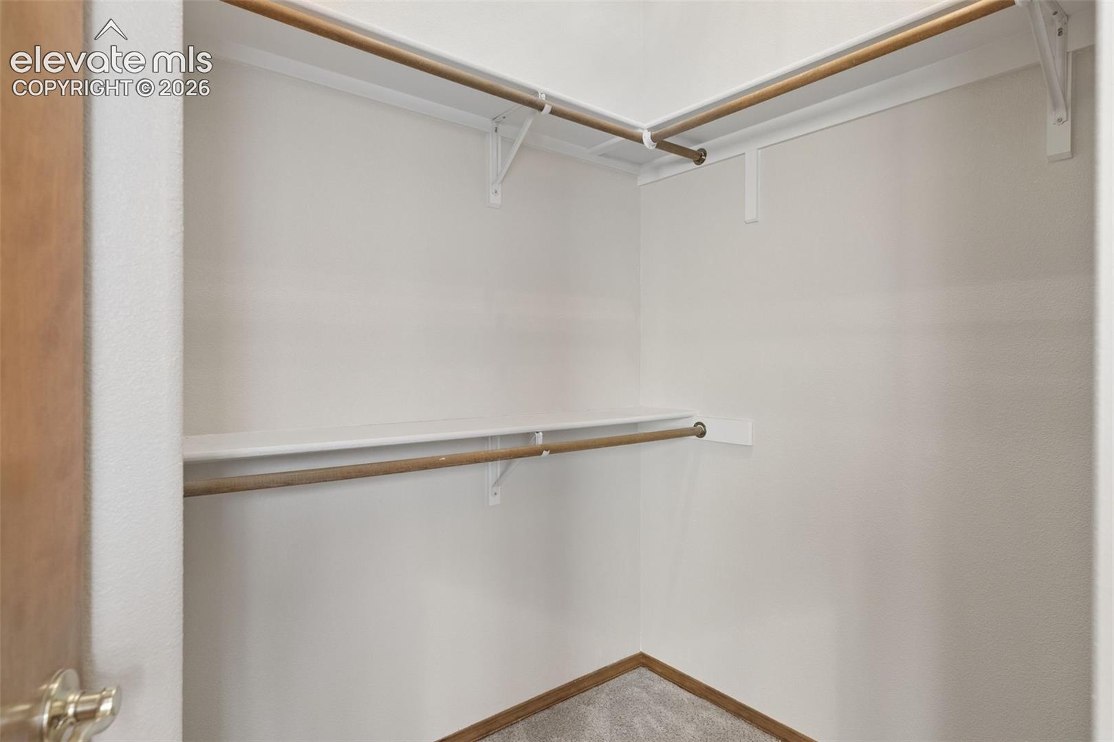 Walk-in closet featuring dual-level wooden hanging rods, white shelving, and neutral carpeting