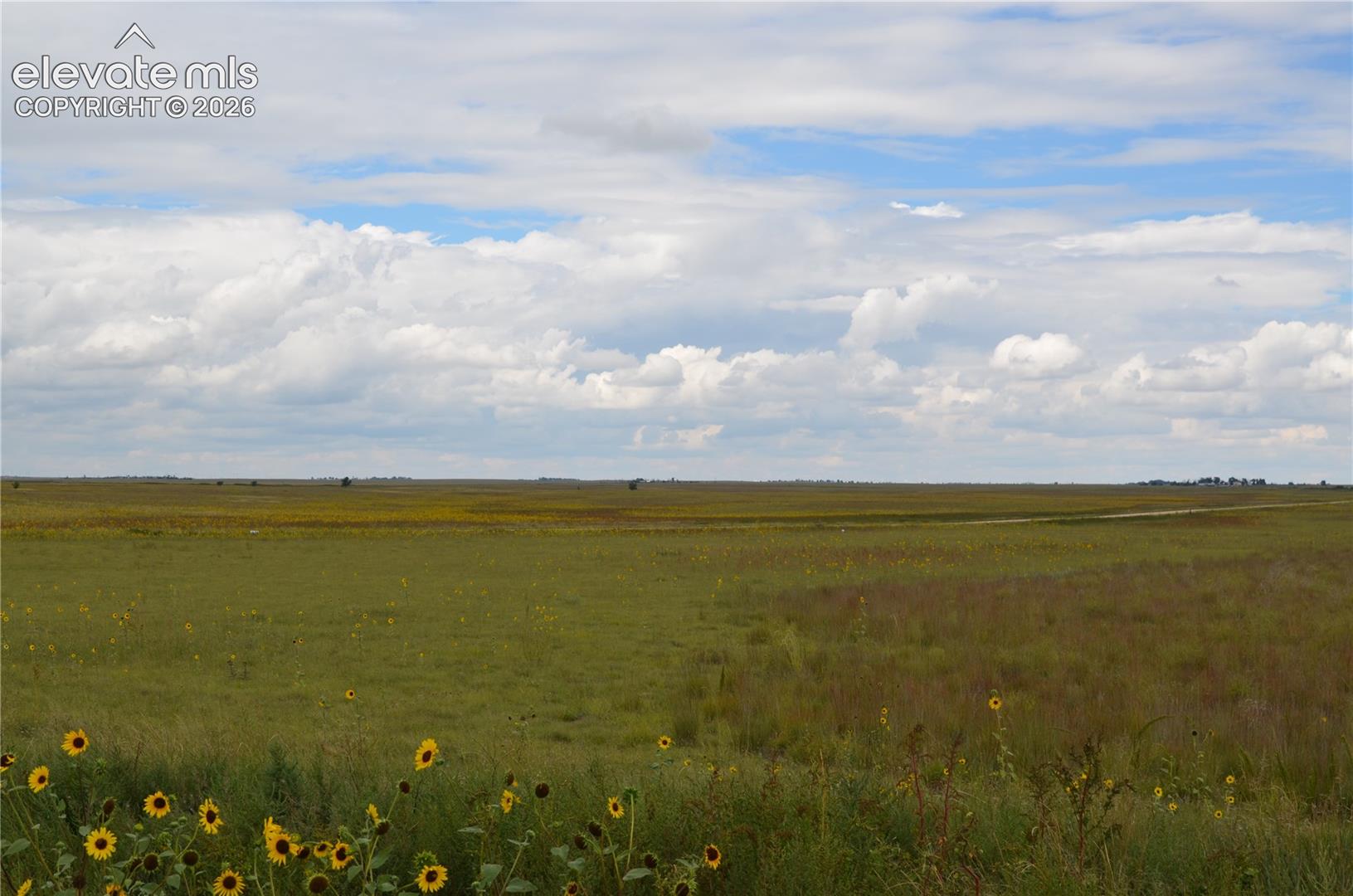 Expansive acreage featuring natural grasses, wildflowers, and a horizon-spanning landscape