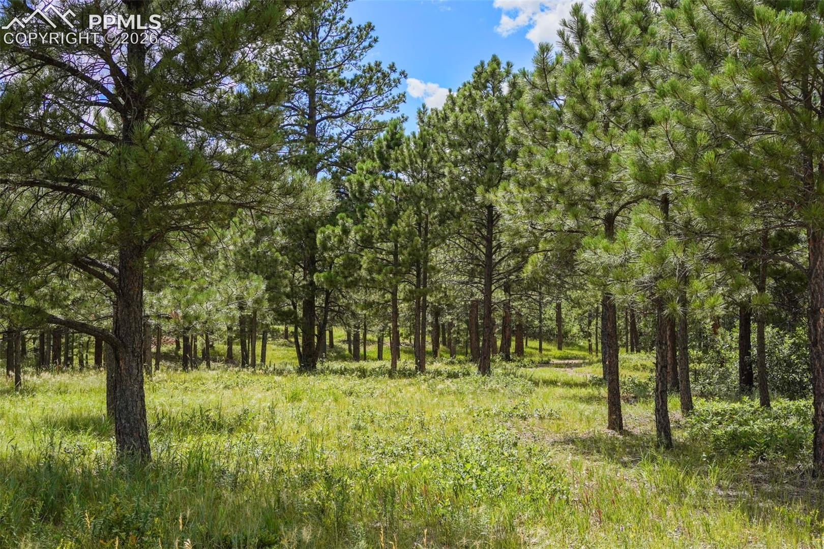 Photo 13 of 325 Pine Oaks Road, Colorado Springs