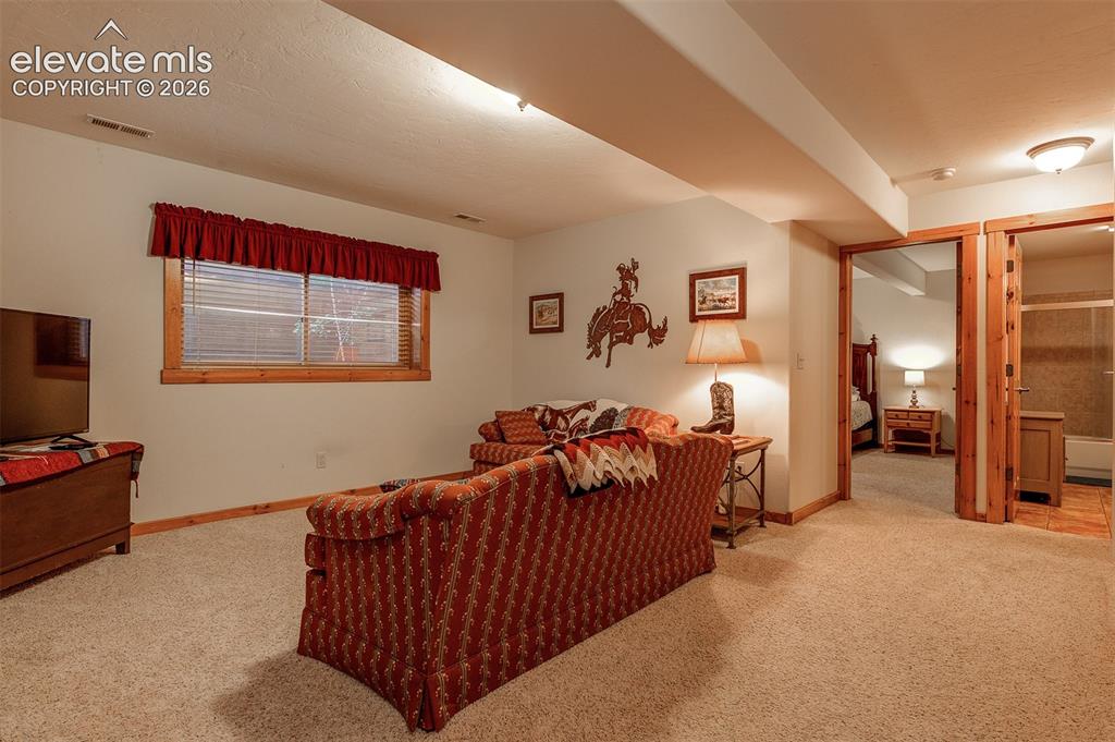 1471 County Road 51, Divide, CO 80814