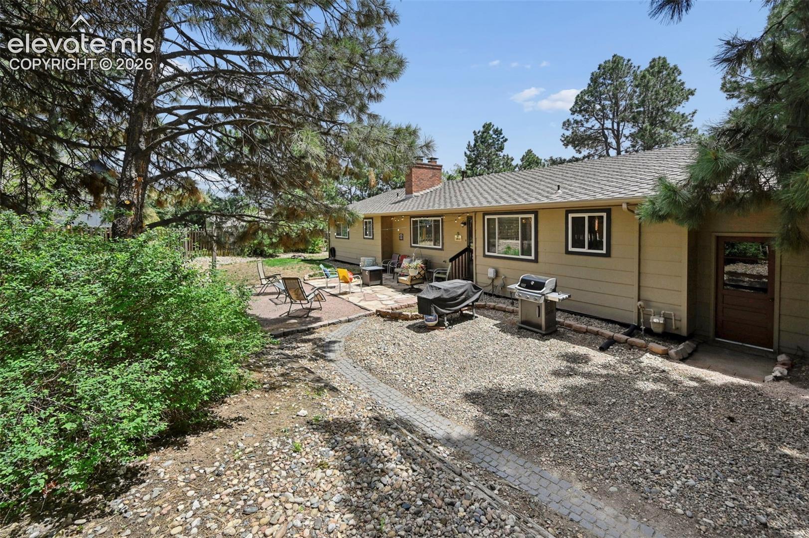 Back yard
