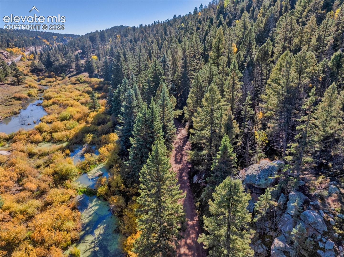 Wooded terrain with evergreen trees, a meandering creek, and natural rock formations