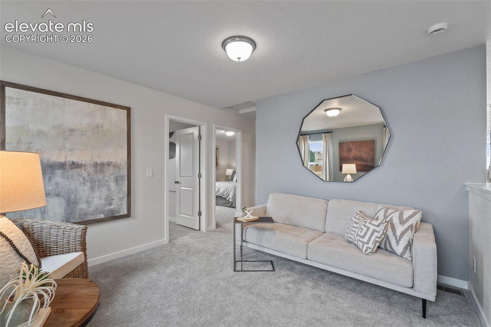 Plush carpeting throughout, white interior doors, and overhead flush-mount lighting