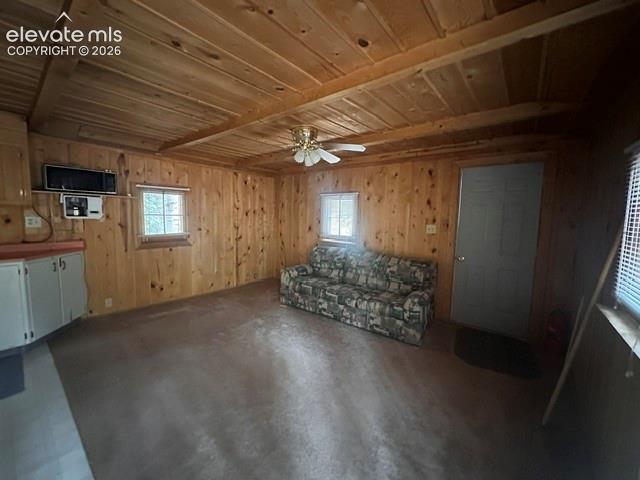 135 Mount Massive Rd, Florissant, CO 80816
