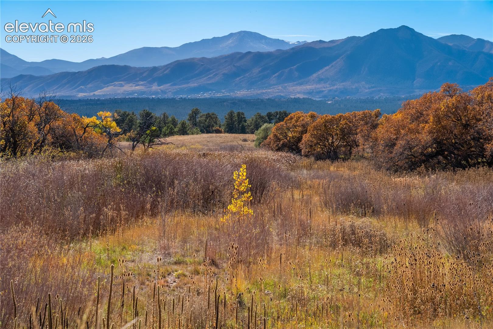 1070 Kelso Pl, Colorado Springs, CO 80921