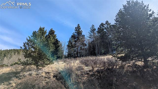 Photo 7 of 136 Valley Road, Divide