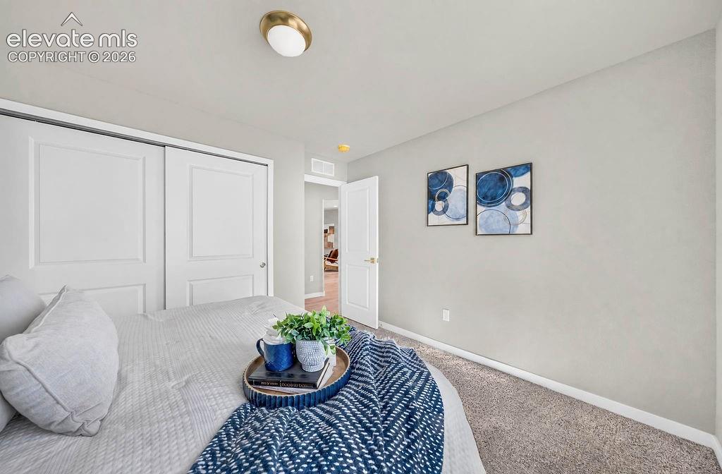 Photo 28 of 11885 Copper Butte Way, Colorado Springs