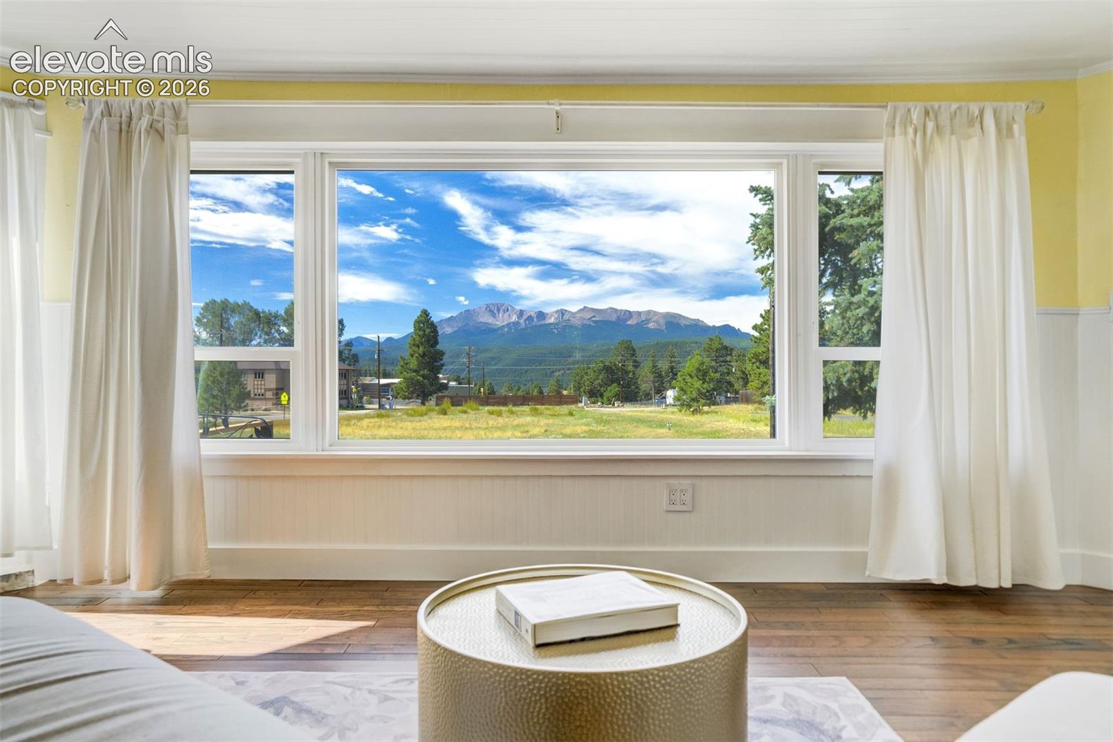 View of Pikes Peak out the living room picture window!
