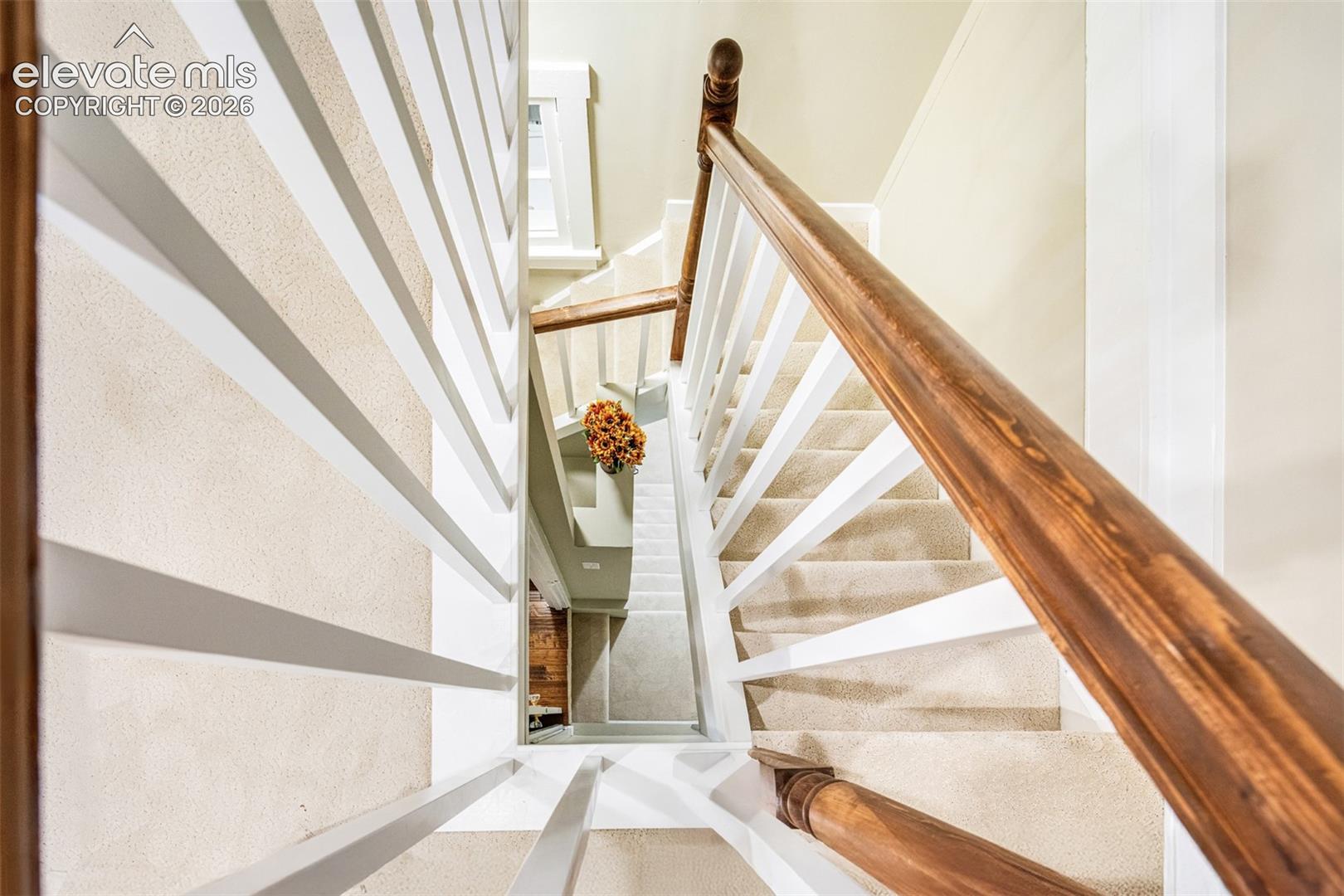Carpeted staircase featuring a wood-finish handrail and white balusters