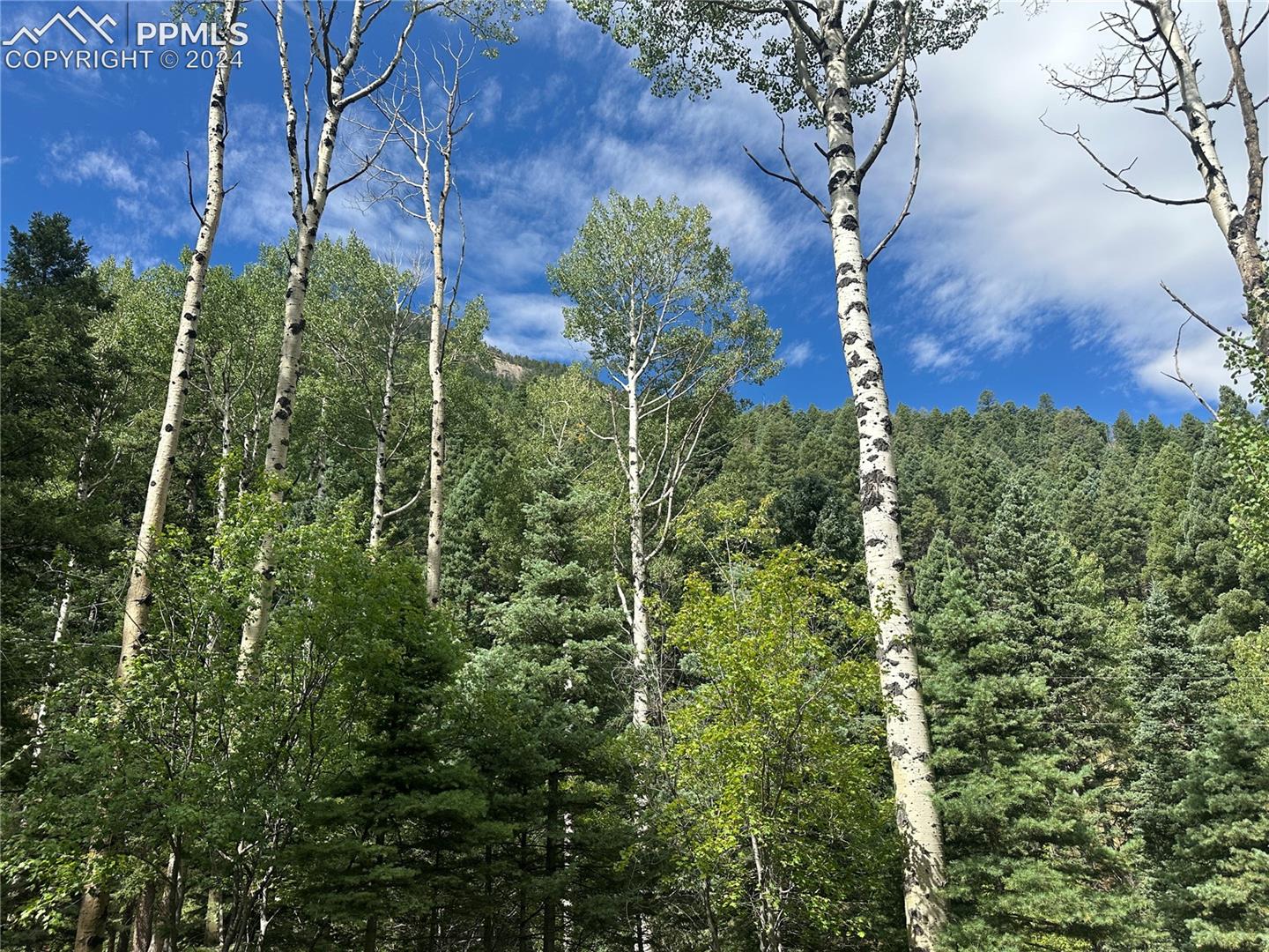 272 Fern Valley Rd, Manitou Springs, CO 80829