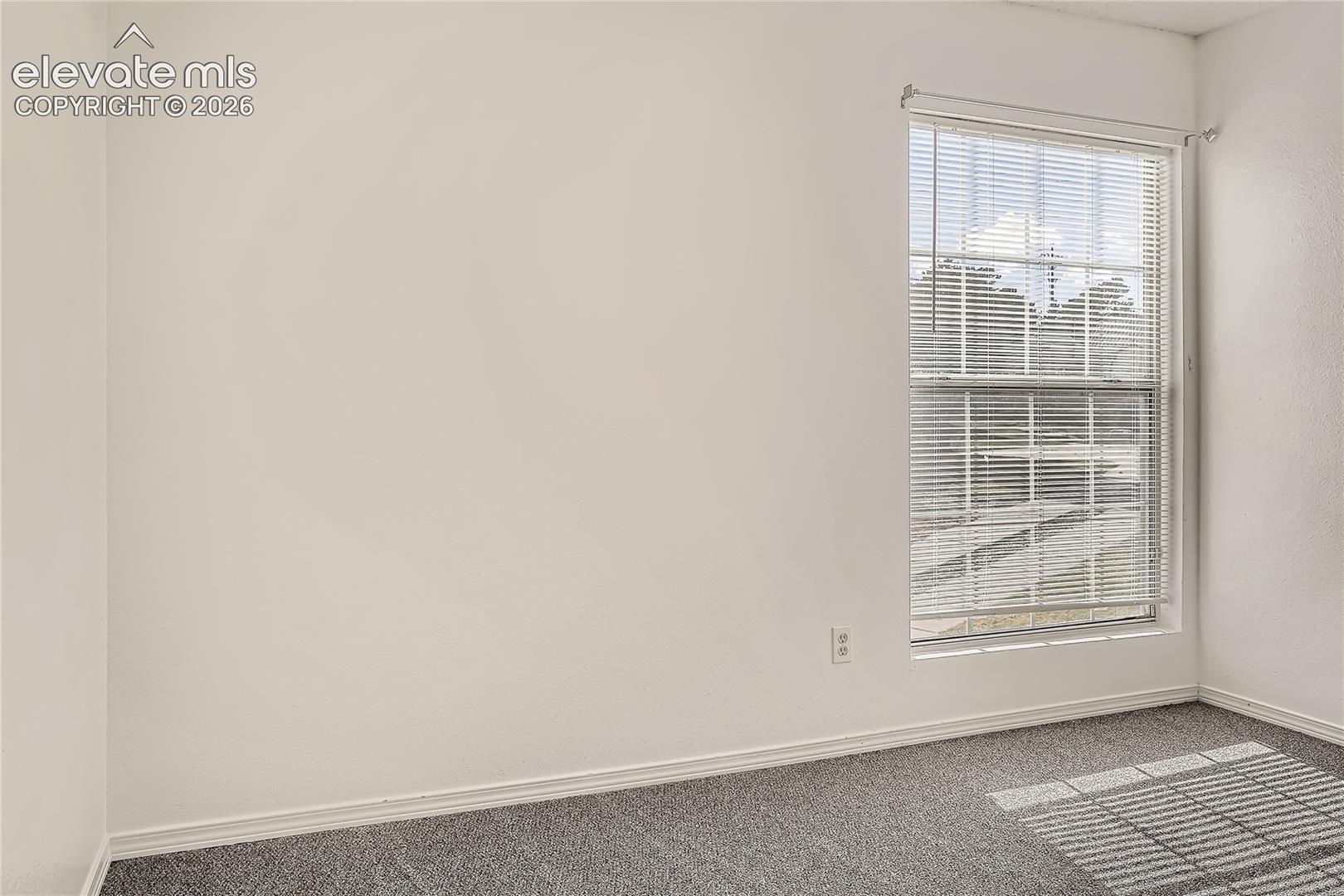 Neutral wall finish, single-hung window with horizontal blinds, and wall-to-wall carpeting