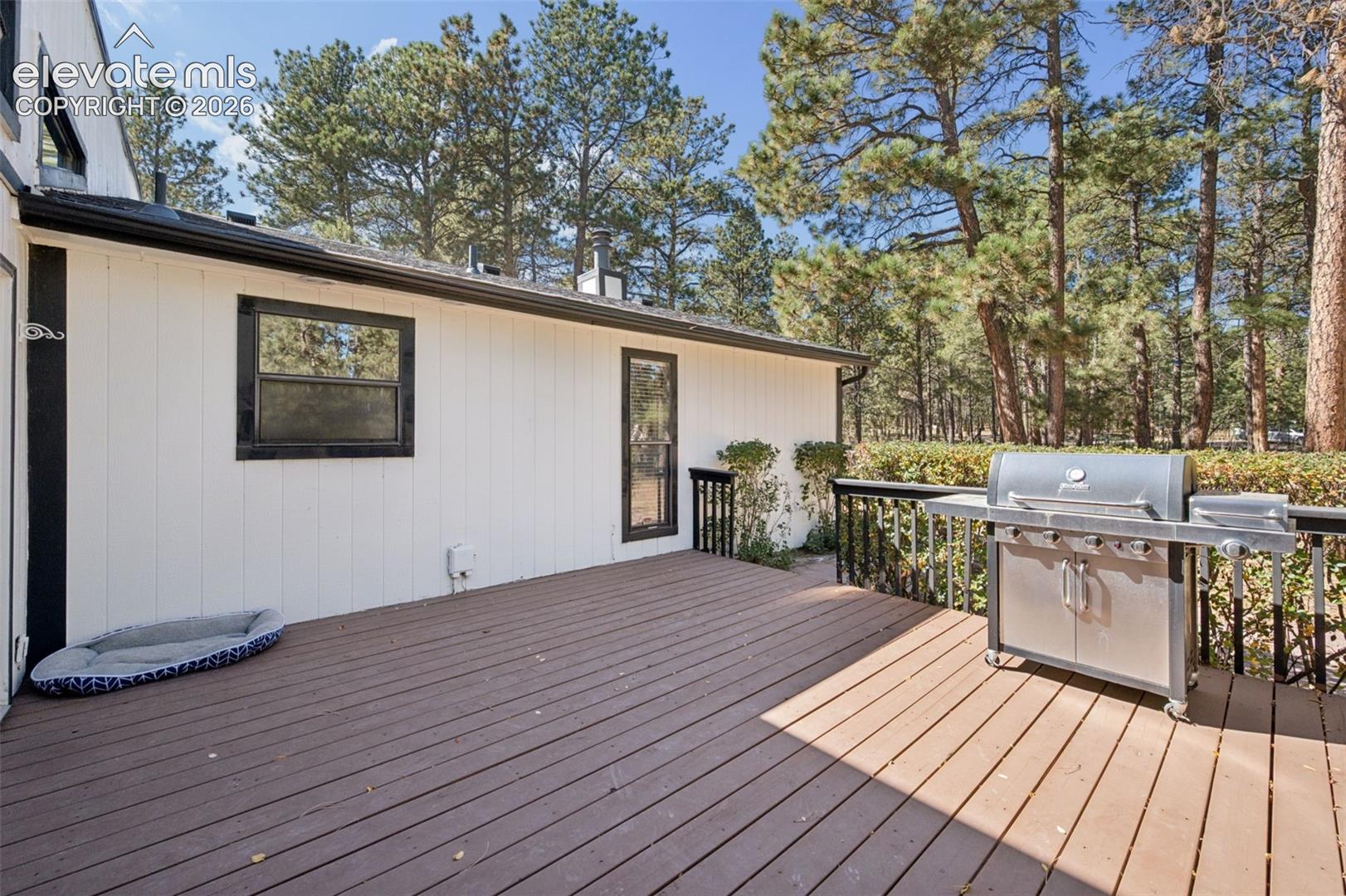 Large freshly painted deck!