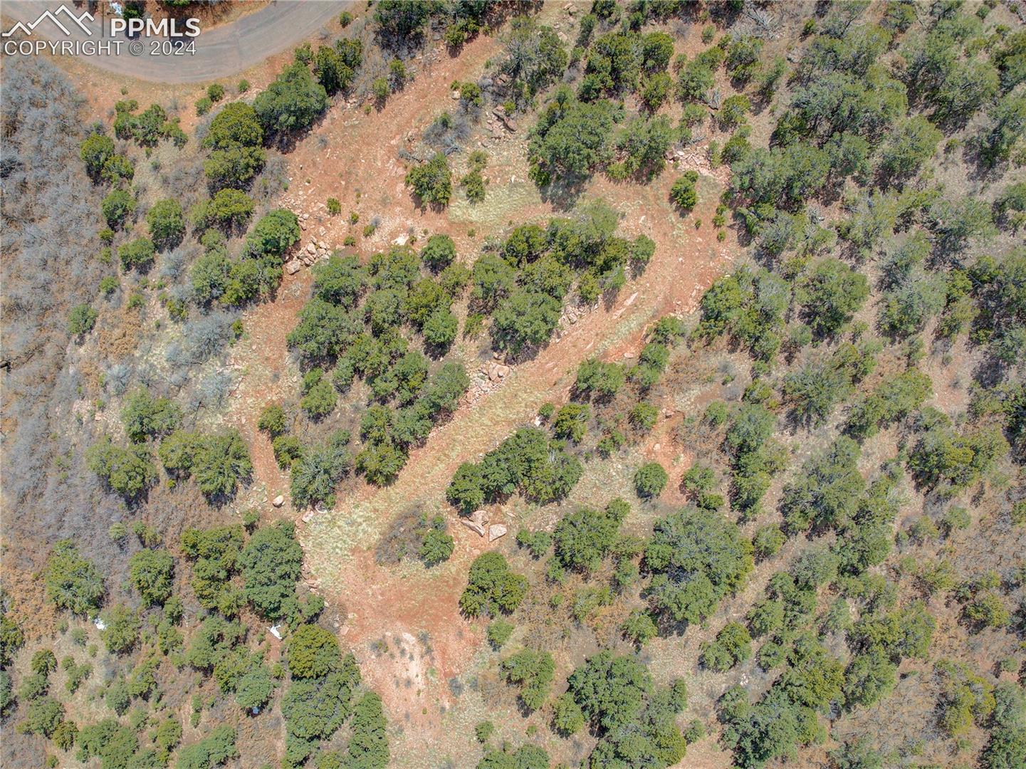 Existing clearing at lower build site