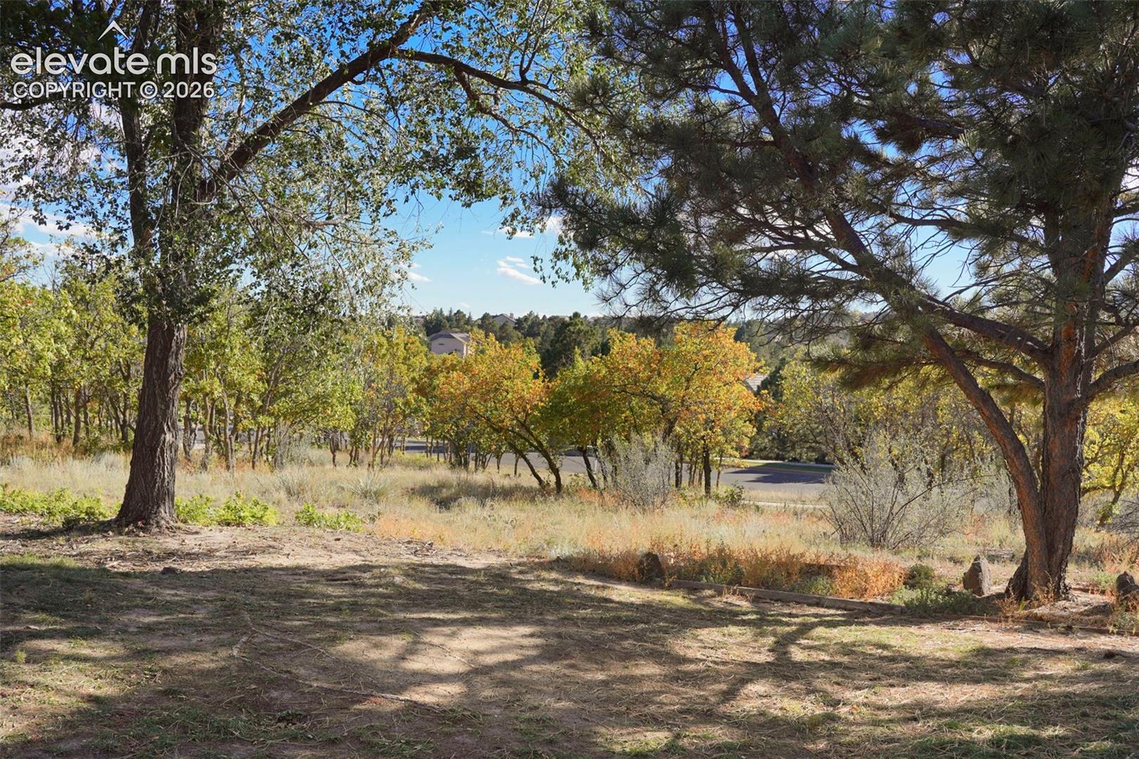 Expansive lot featuring mature deciduous and evergreen trees, natural landscaping, and native grasses