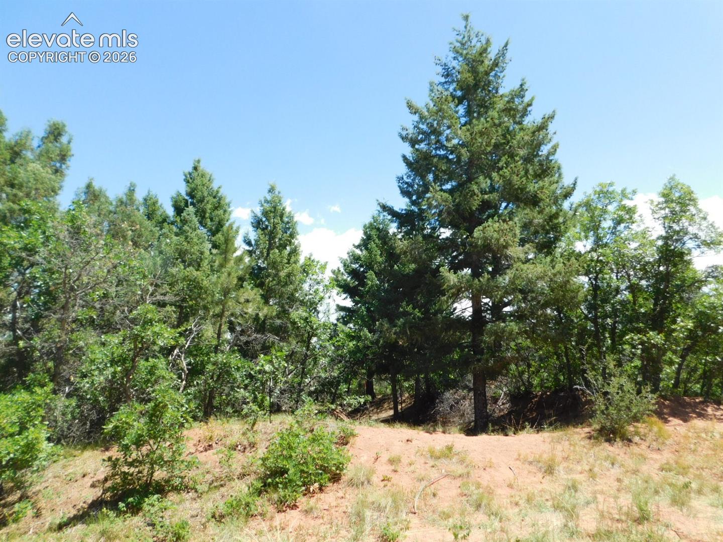 Photo 47 of 6447 Thunderbird Road, Larkspur