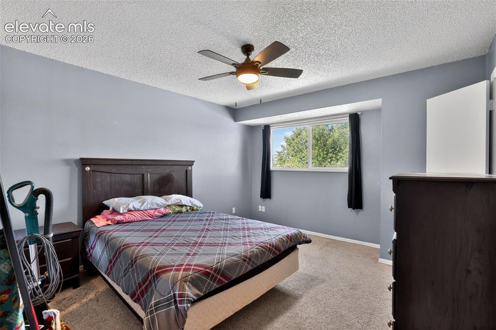 Carpeted room featuring light blue walls and a textured ceiling