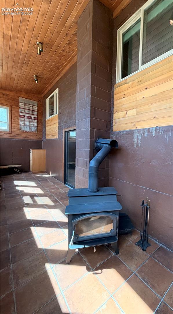 Wood stove