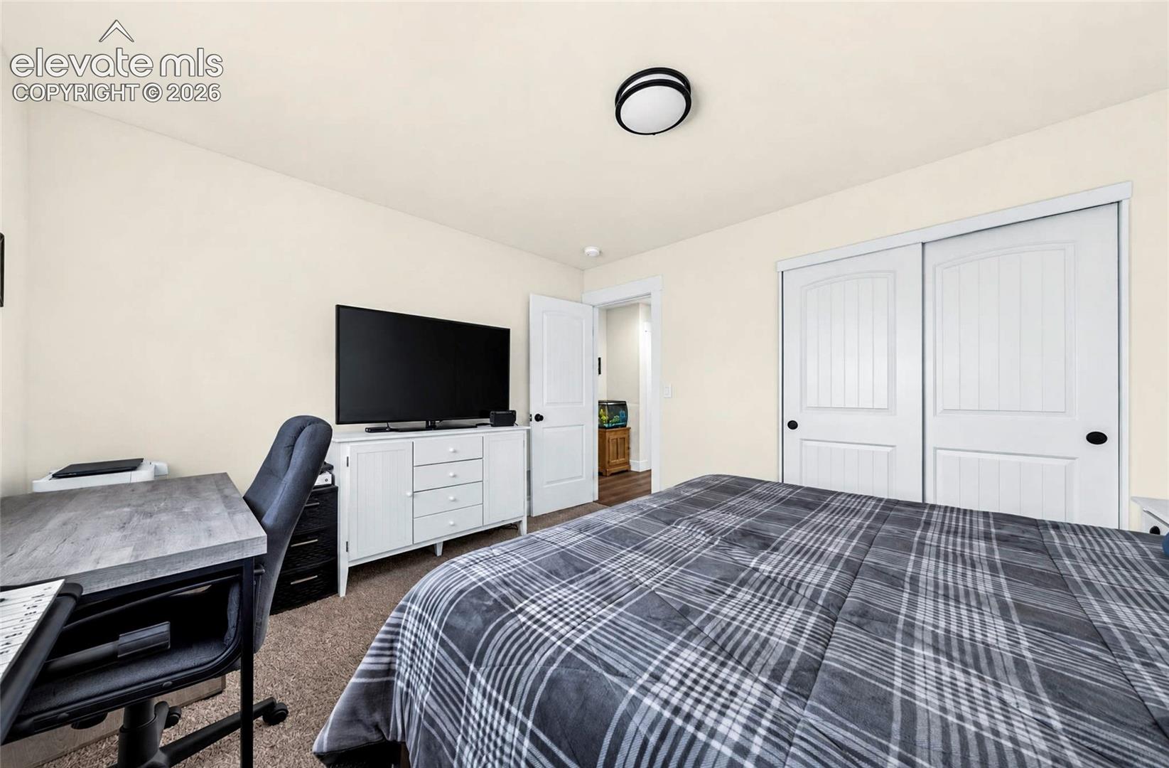 Neutral-toned interior featuring wall-to-wall carpeting, flush-mount ceiling lighting, and sliding closet doors with paneled detailing