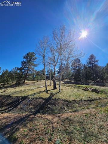 Photo 6 of 717 Canyon Drive, Florissant