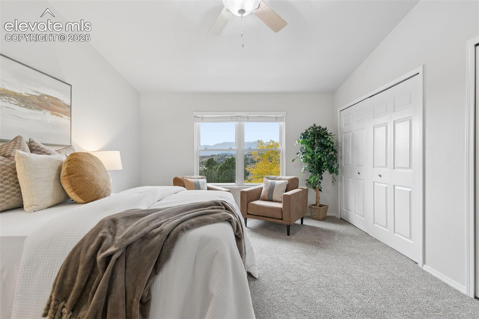 Photo 17 of 1909 Bristlecone Drive, Colorado Springs