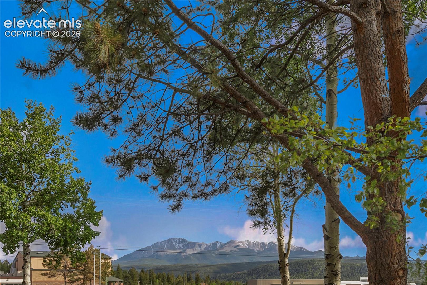 401 Forest Edge Rd #A5, Woodland Park, CO 80863