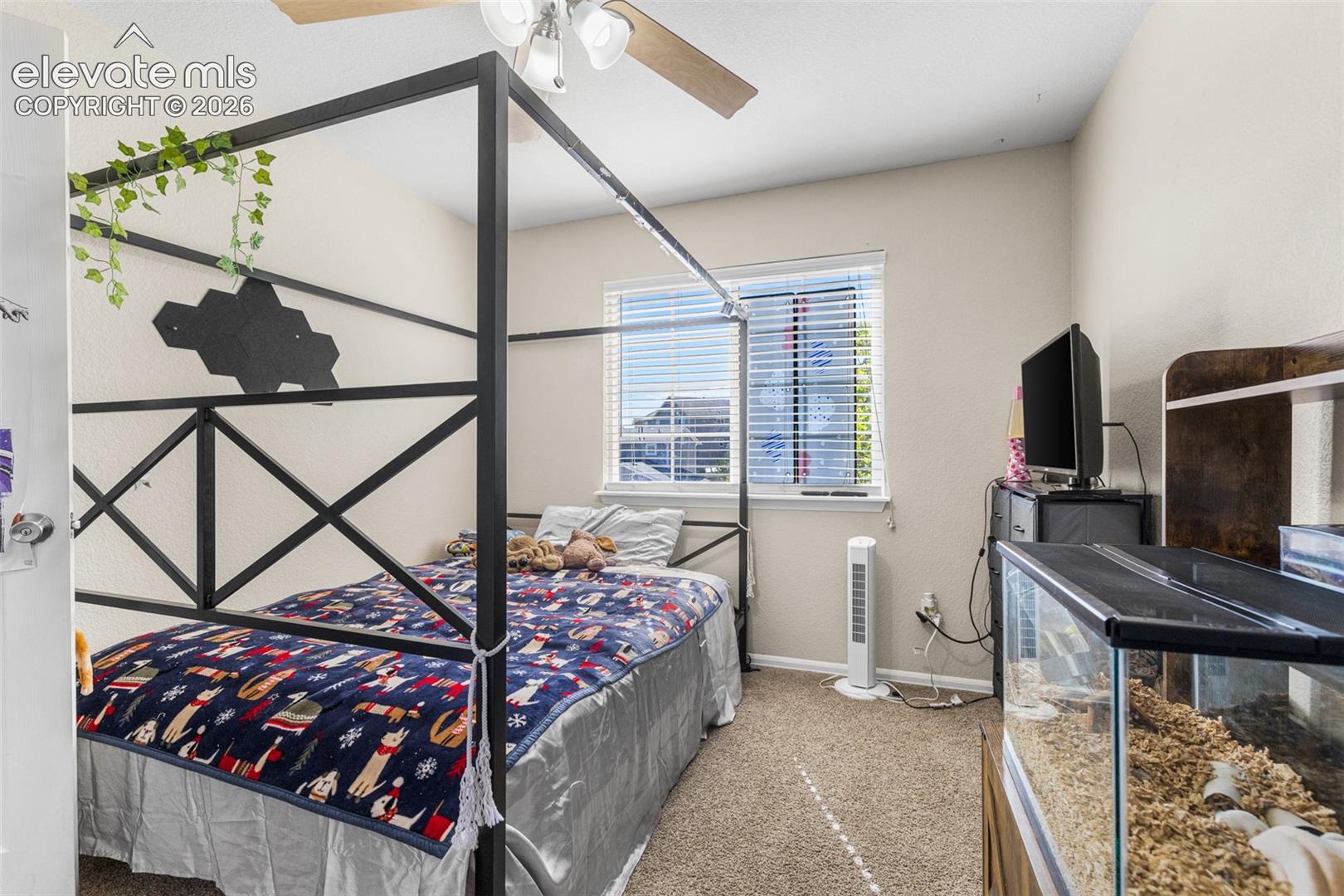 Neutral-toned room featuring wall-to-wall carpeting, a multi-pane window with horizontal blinds, and a ceiling-mounted fan with integrated lighting