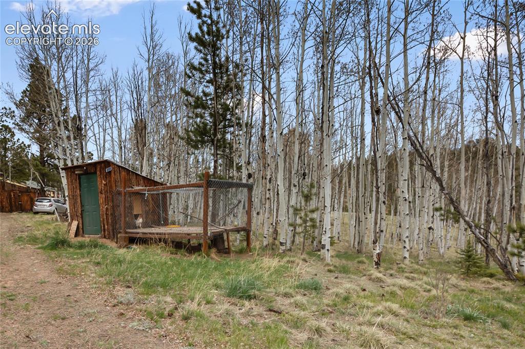 79 Beaver Creek Cir, Florissant, CO 80816